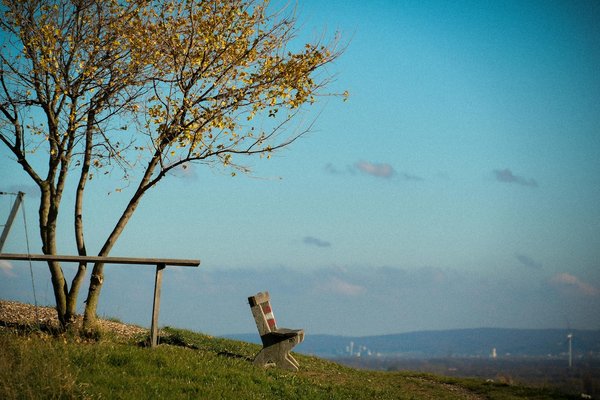 Zoom sur les maladies rares du foie