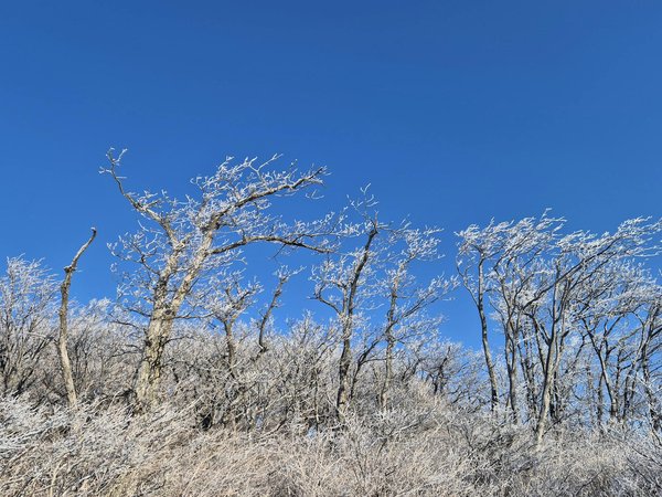 Sante Partage Intergen